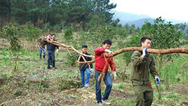 ��(w��n)����ˎ���г�һֱ���Є�(d��ng)